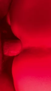 操骚逼菊花