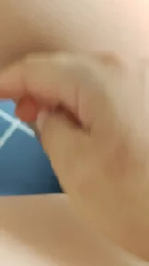 美鲍