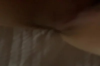 灵狐者h小说